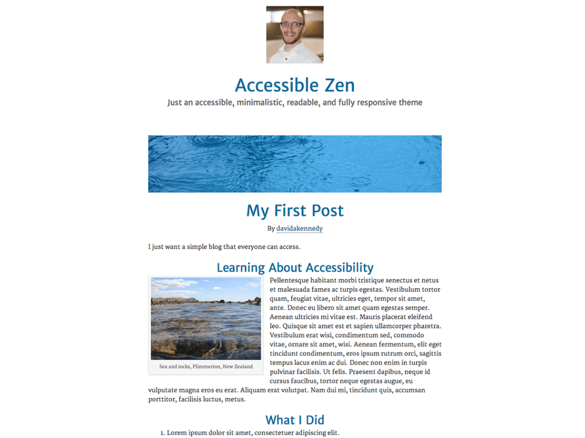 WordPress Theme Accessible Zen