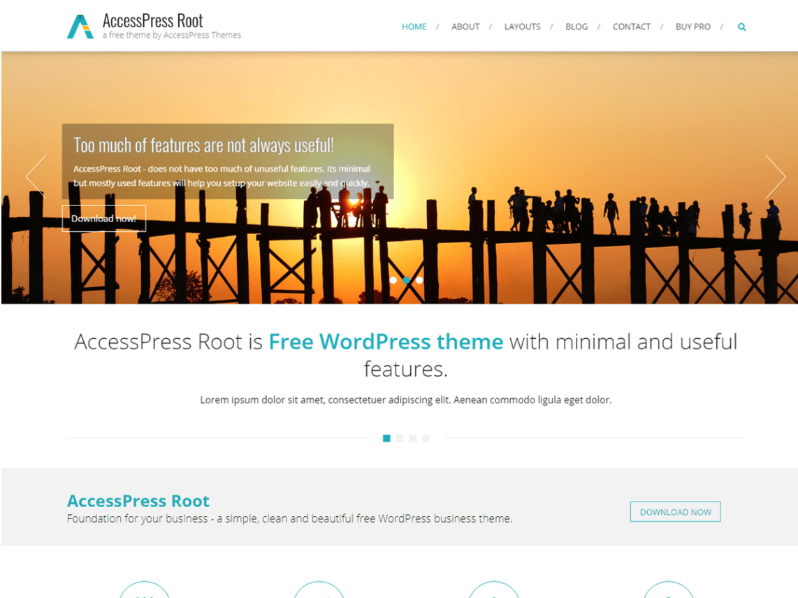 WordPress Theme AccessPress Root