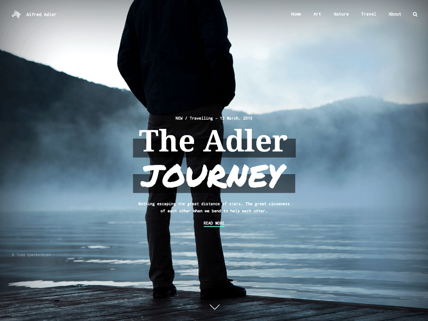 WordPress Theme Adler