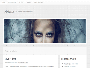 WordPress Theme Adroa