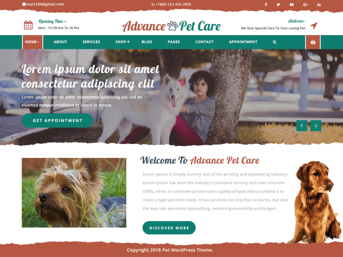 WordPress Theme Advance Pet Care