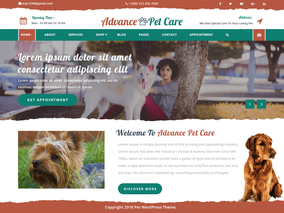 WordPress theme advance-pet-care