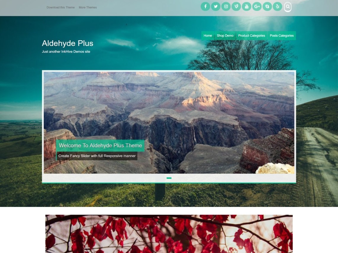 WordPress Theme Aldehyde