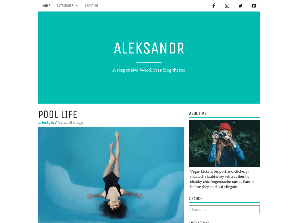 WordPress Theme Aleksandr