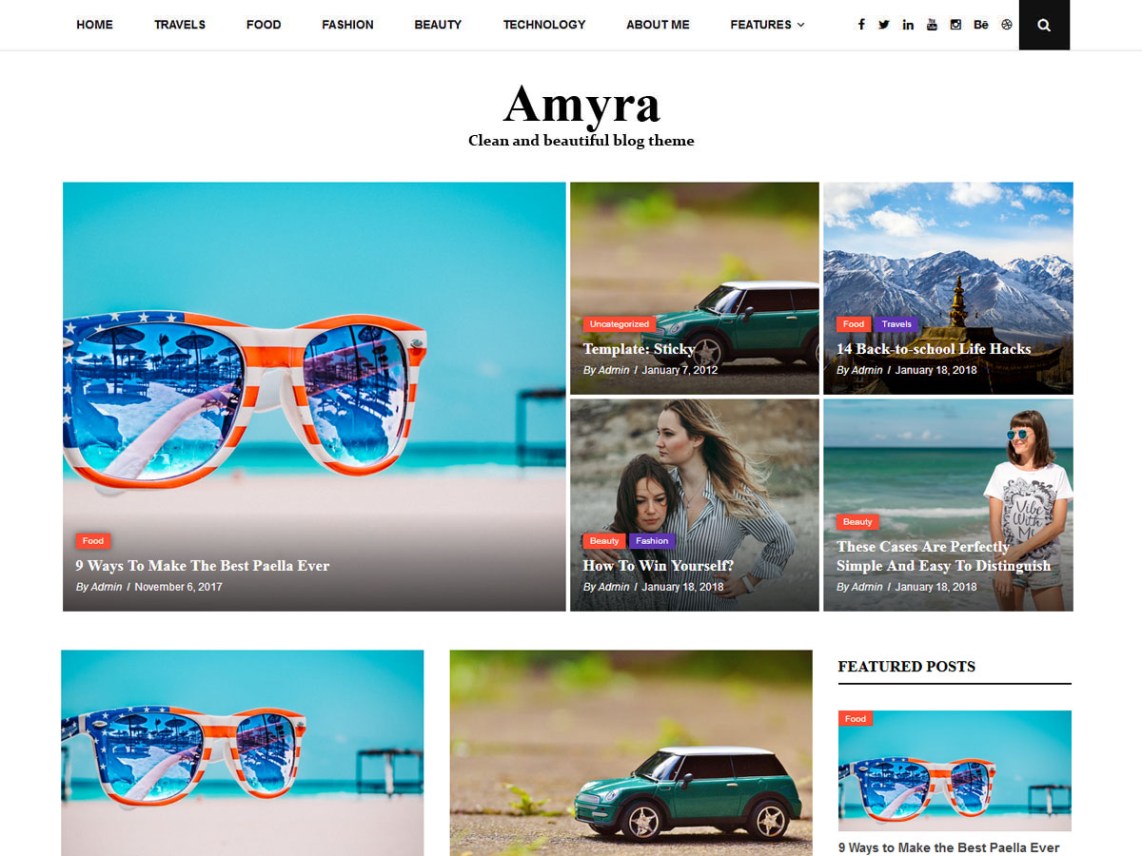 WordPress Theme Amyra Lite