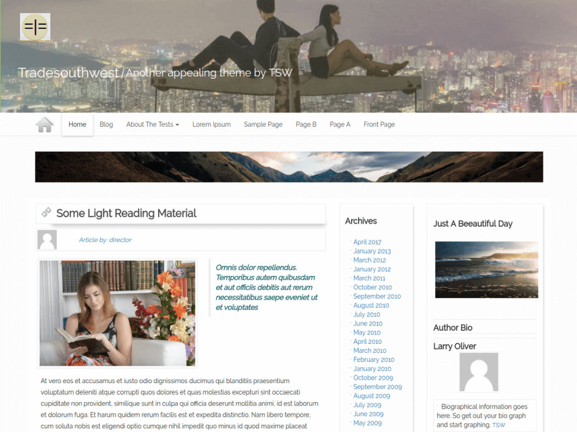 WordPress Theme Appeal