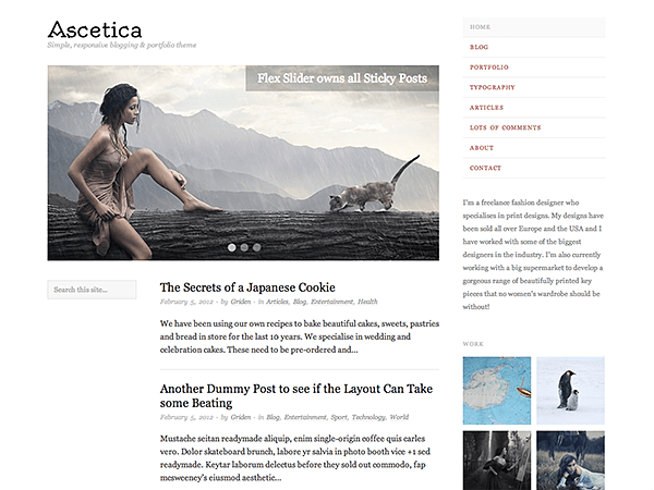 WordPress Theme Ascetica