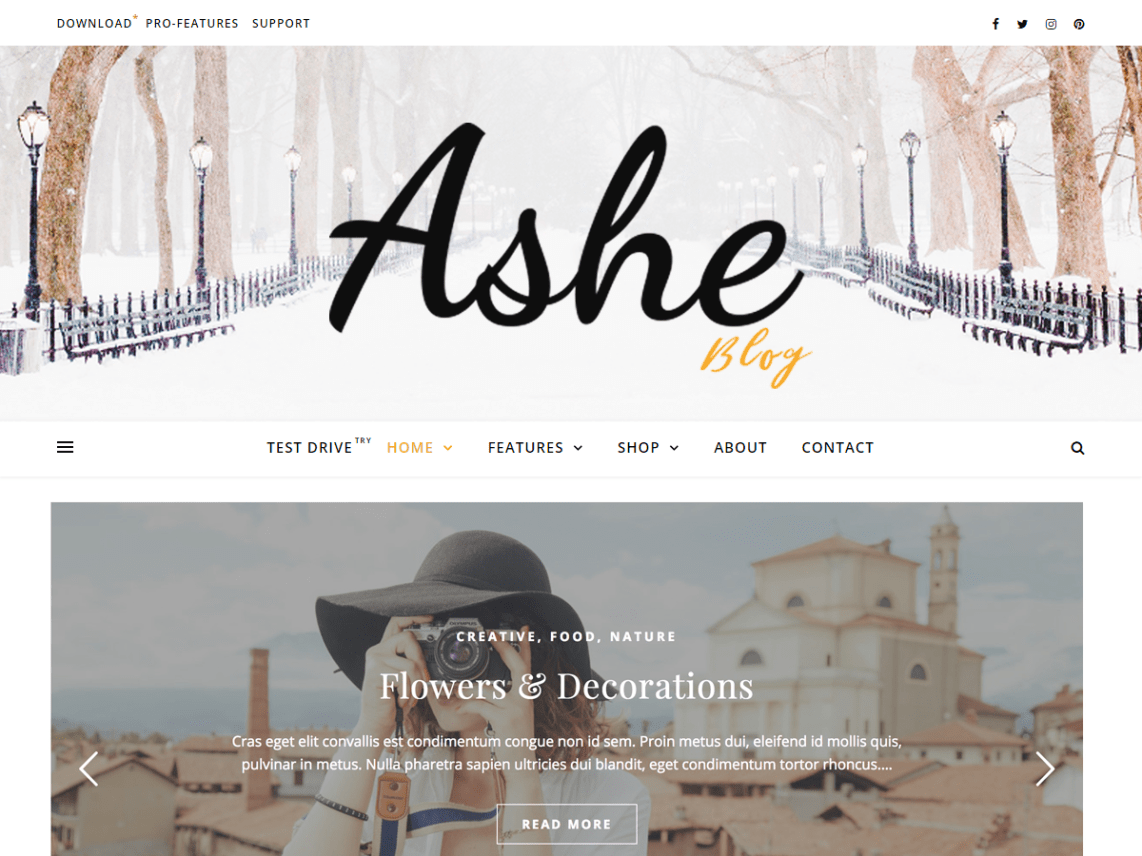 WordPress Theme Ashe