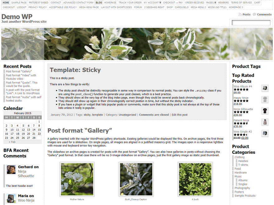 WordPress Theme Atahualpa