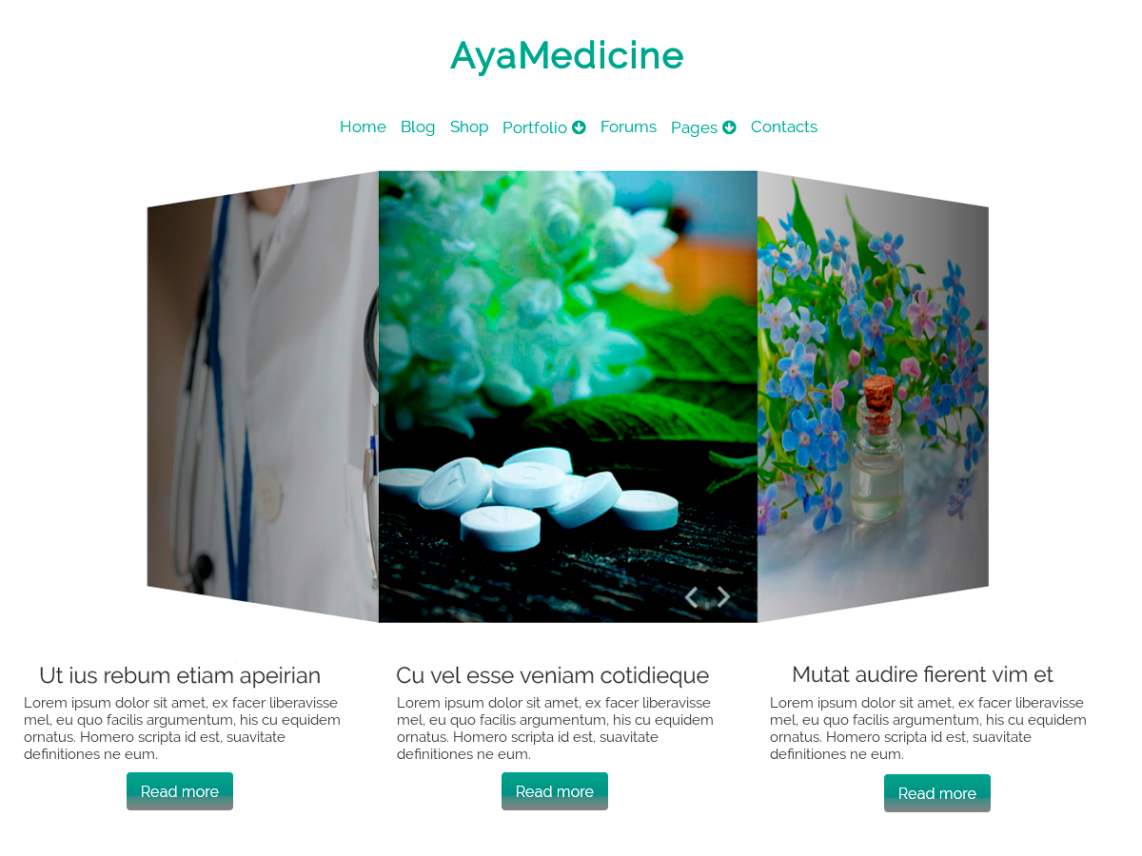 WordPress Theme AyaMedicine