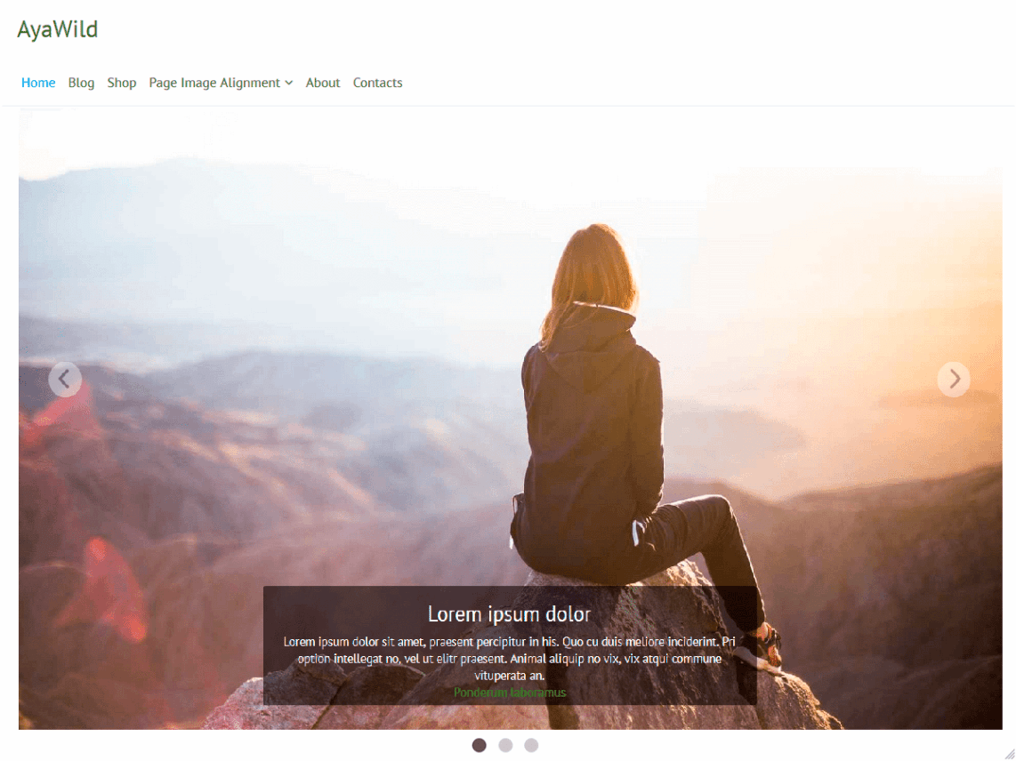 WordPress Theme AyaWild