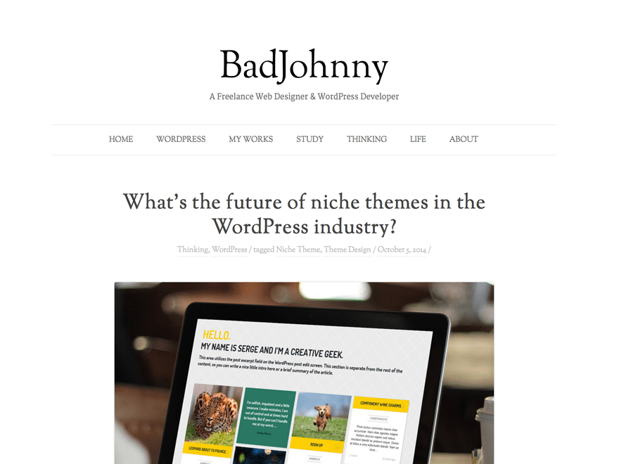 WordPress Theme BadJohnny