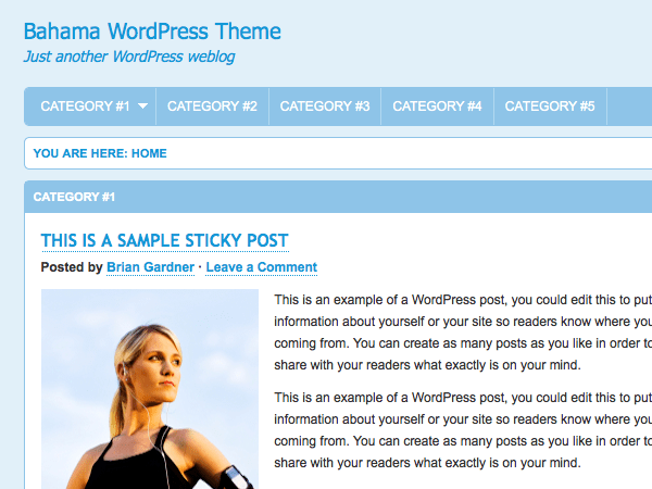 WordPress Theme Bahama