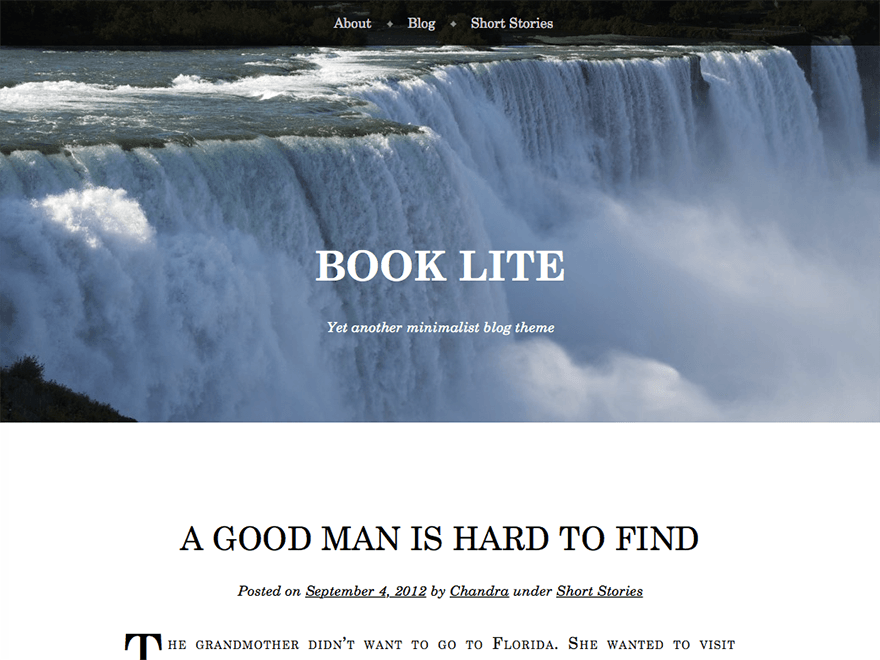 WordPress Theme Book Lite