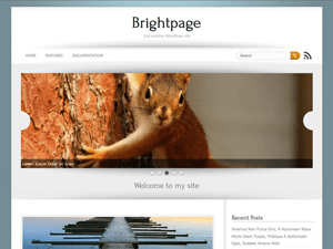 WordPress Theme Brightpage