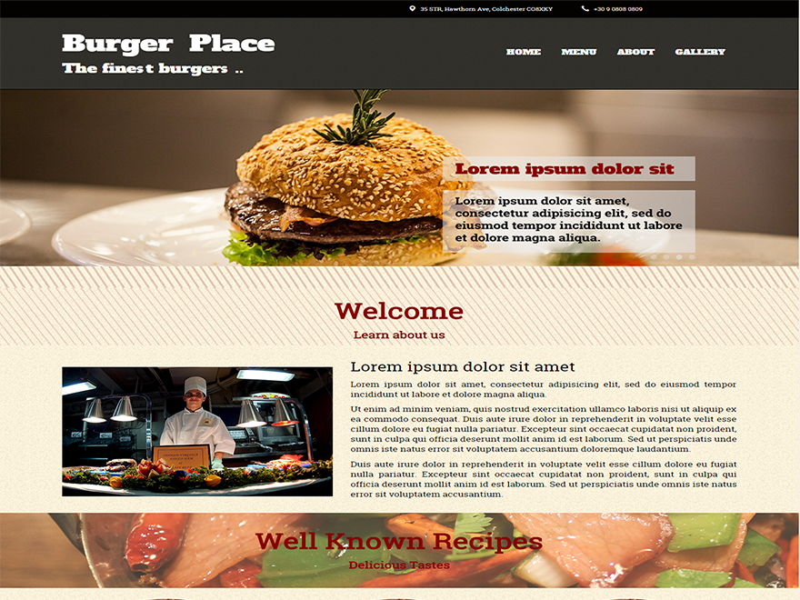 WordPress Theme Burger