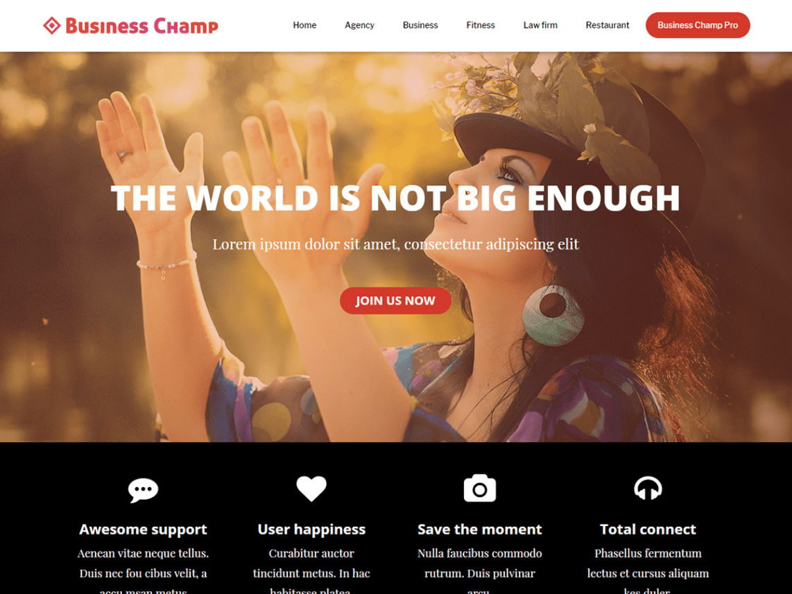 WordPress Theme Business Champ