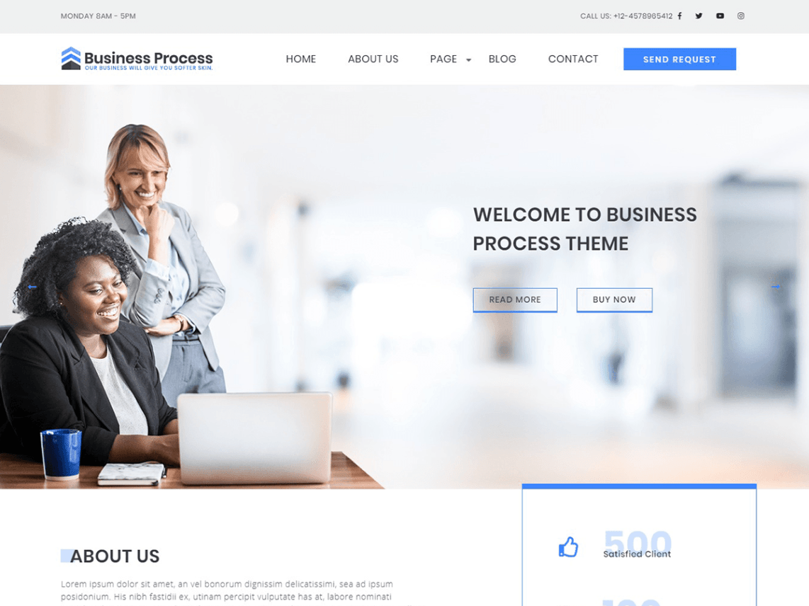 WordPress Theme Business Process