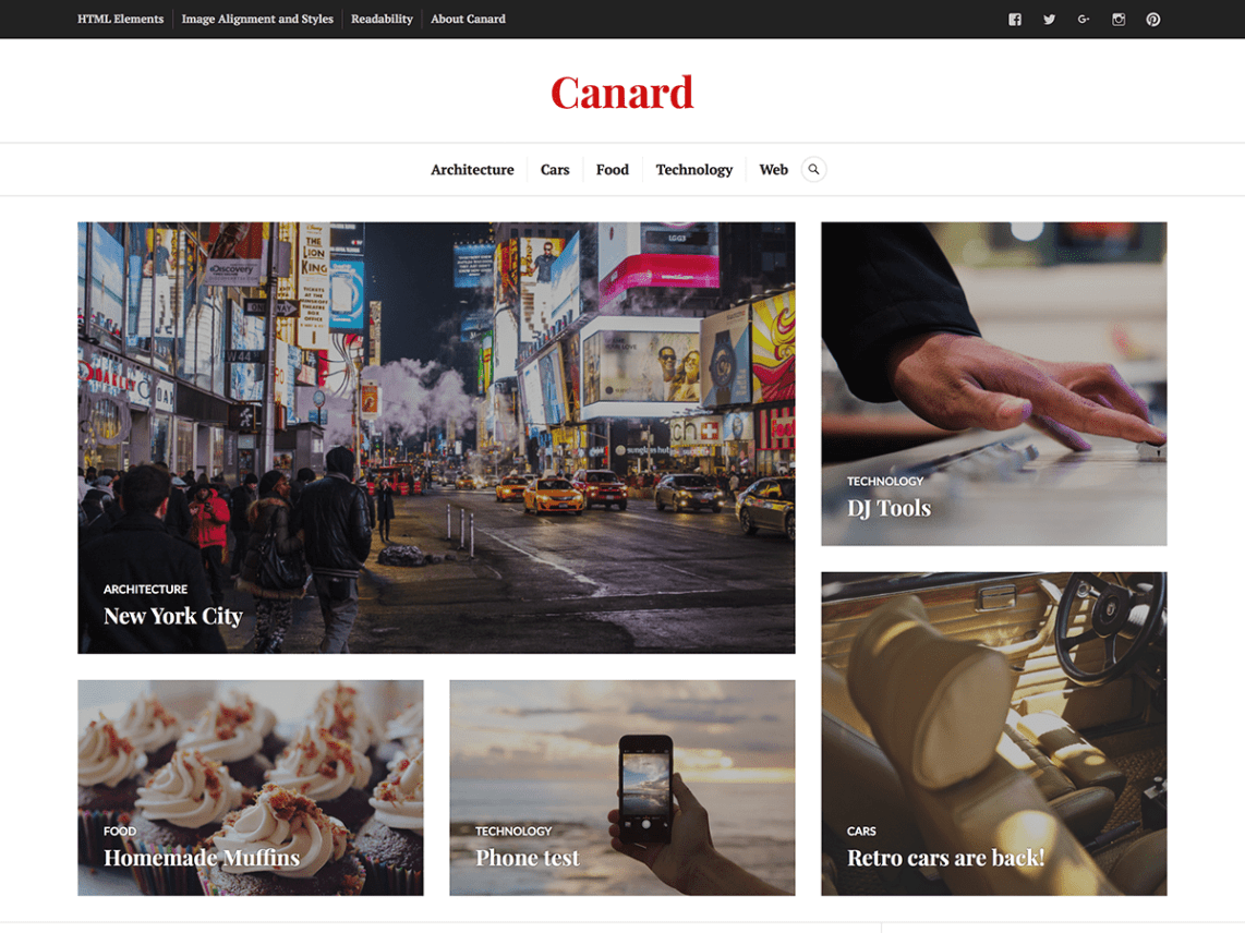 WordPress Theme Canard
