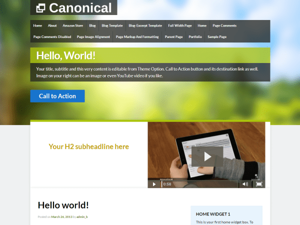 WordPress Theme Canonical