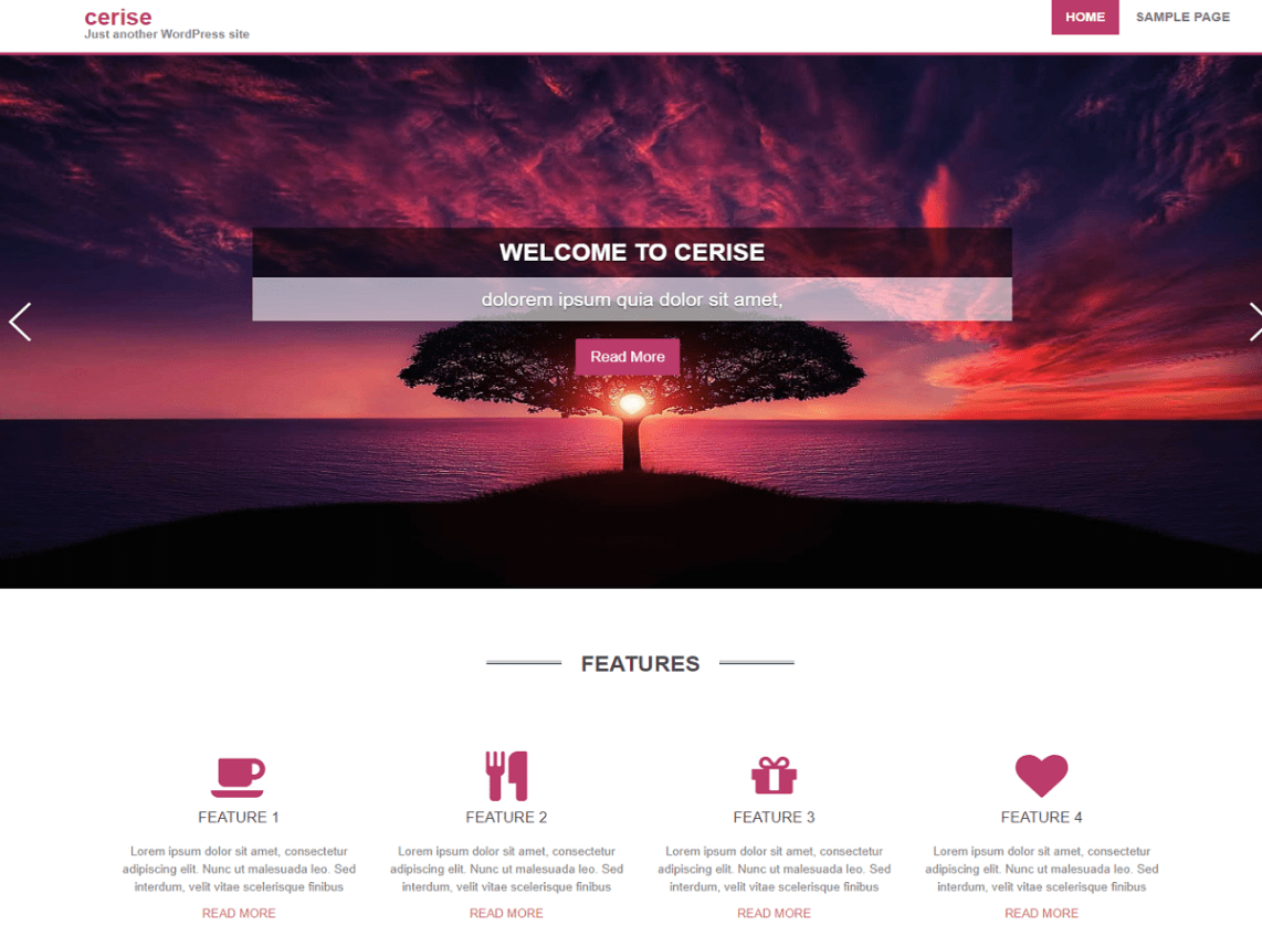 WordPress Theme cerise