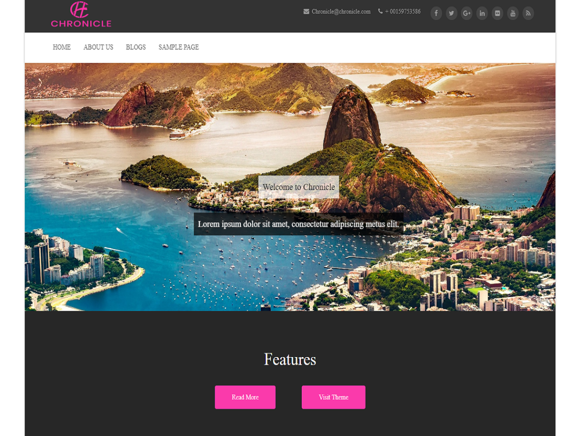 WordPress Theme Chronicle