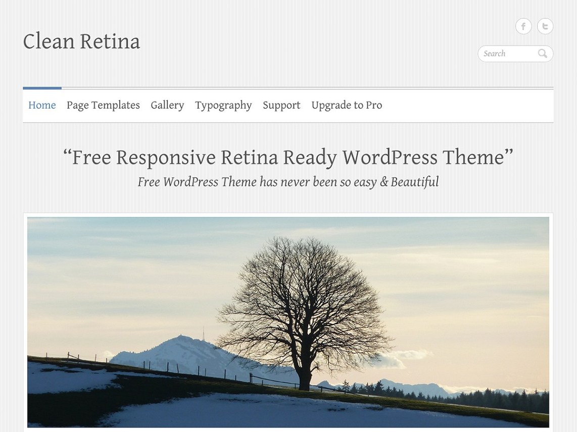WordPress Theme Clean Retina