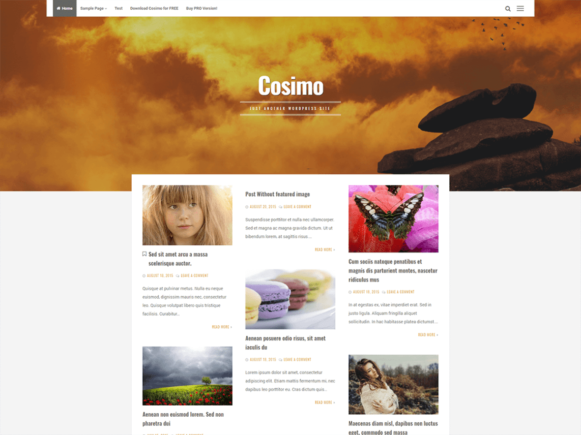 WordPress Theme Cosimo