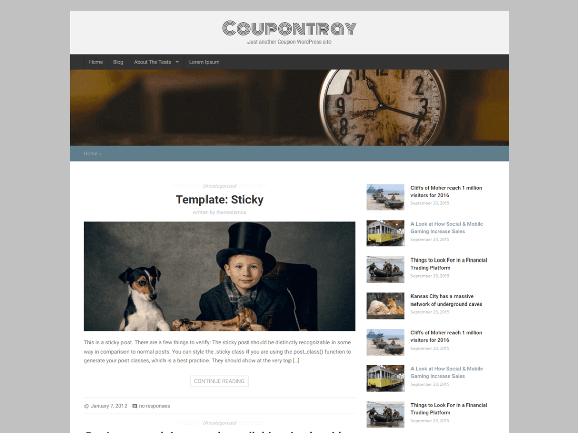 WordPress Theme Coupontray