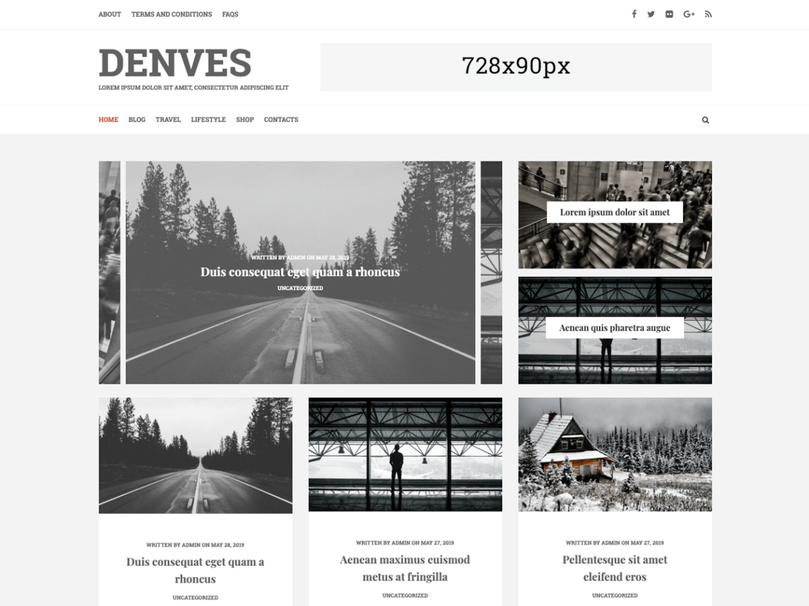 WordPress Theme Denves Lite