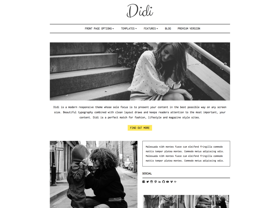 WordPress Theme Didi Lite