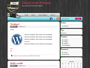WordPress Theme Director Theme