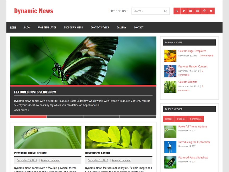 WordPress Theme Dynamic News Lite