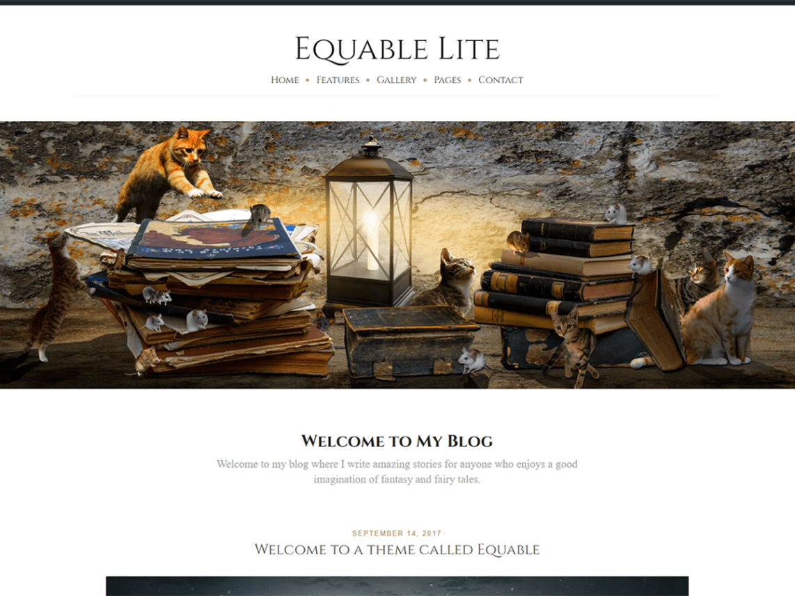 WordPress Theme Equable Lite