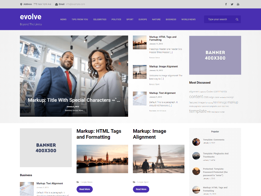 WordPress Theme evolve