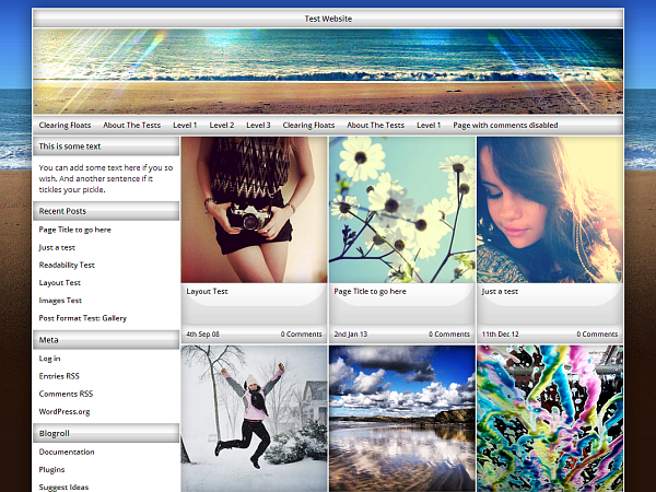 WordPress Theme Exact