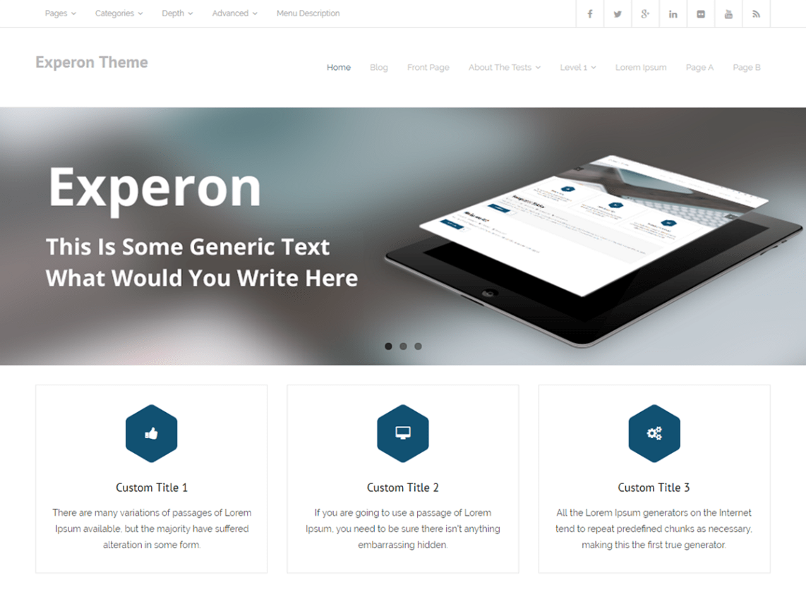 WordPress Theme Experon
