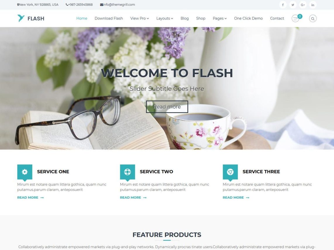WordPress Theme Flash