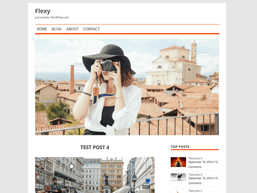 WordPress Theme Flexy