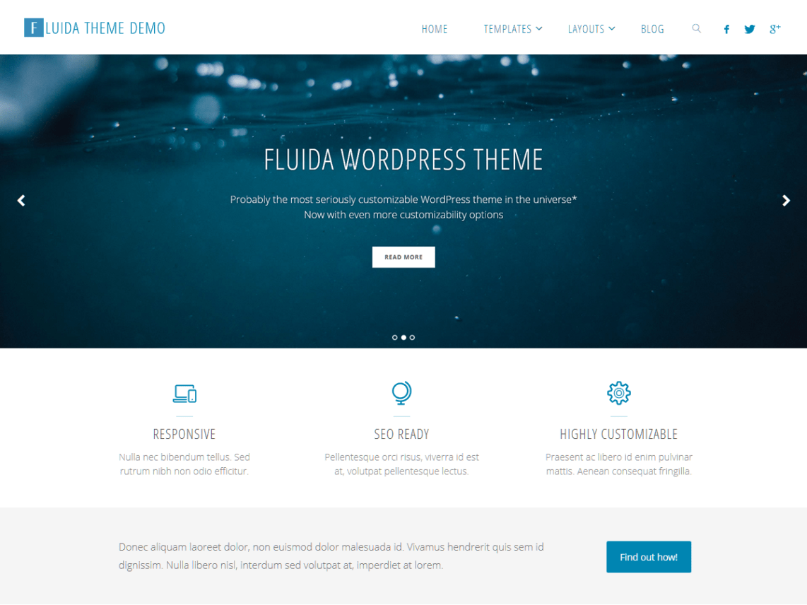 WordPress Theme Fluida