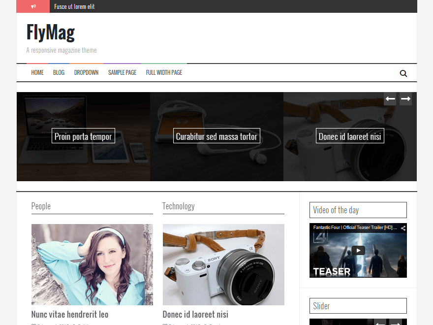 WordPress Theme FlyMag