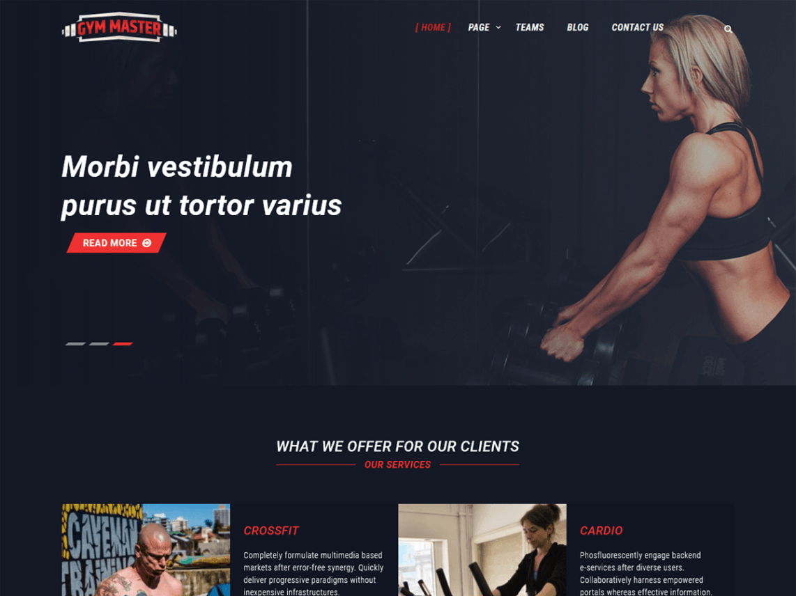 WordPress Theme Gym Master