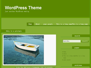 WordPress Theme Gypsy