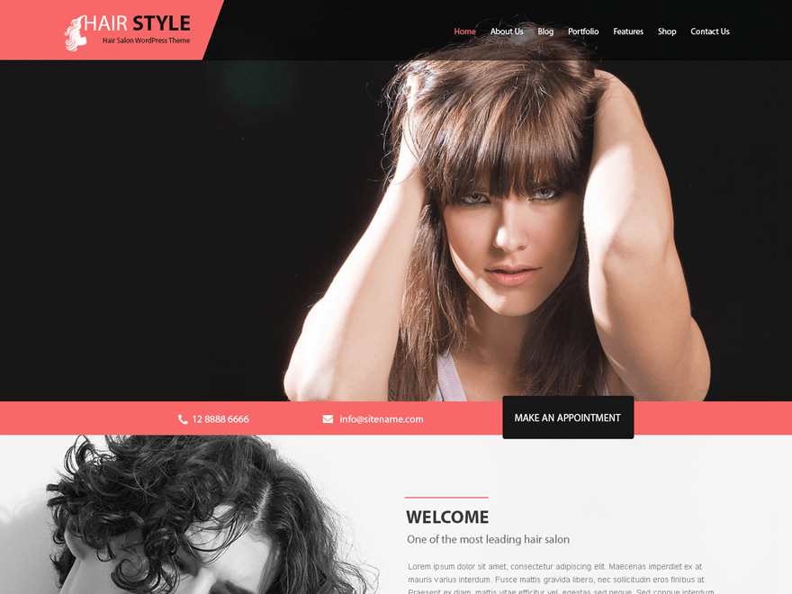 WordPress Theme Hairstyle