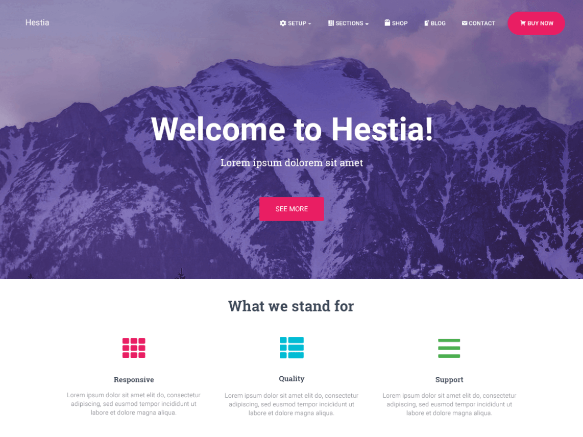 WordPress theme hestia