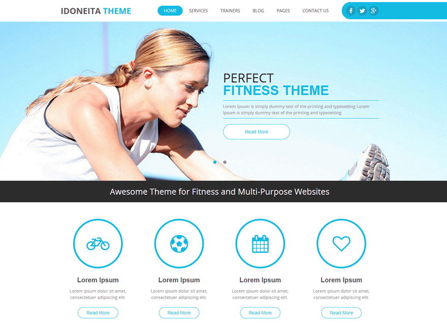 WordPress Theme Idoneita