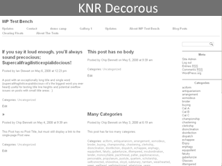 WordPress Theme KNR Decorous