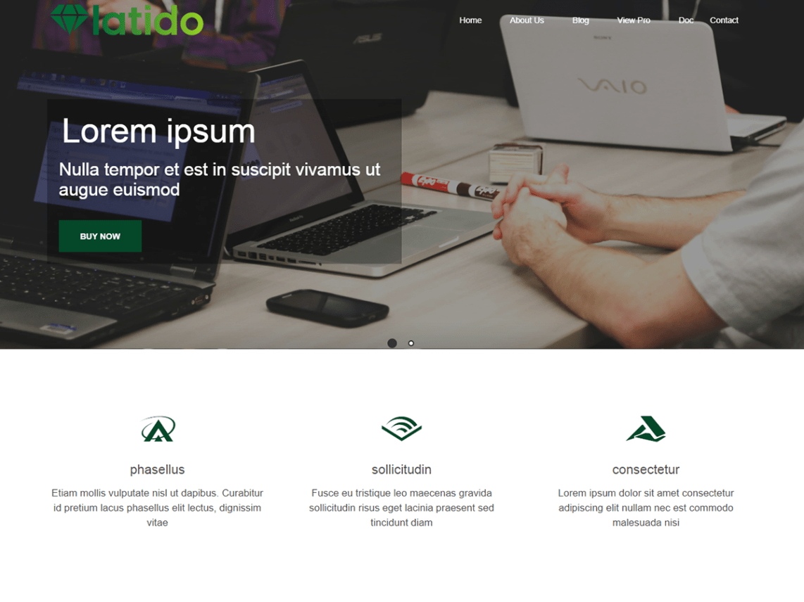 WordPress Theme Latido