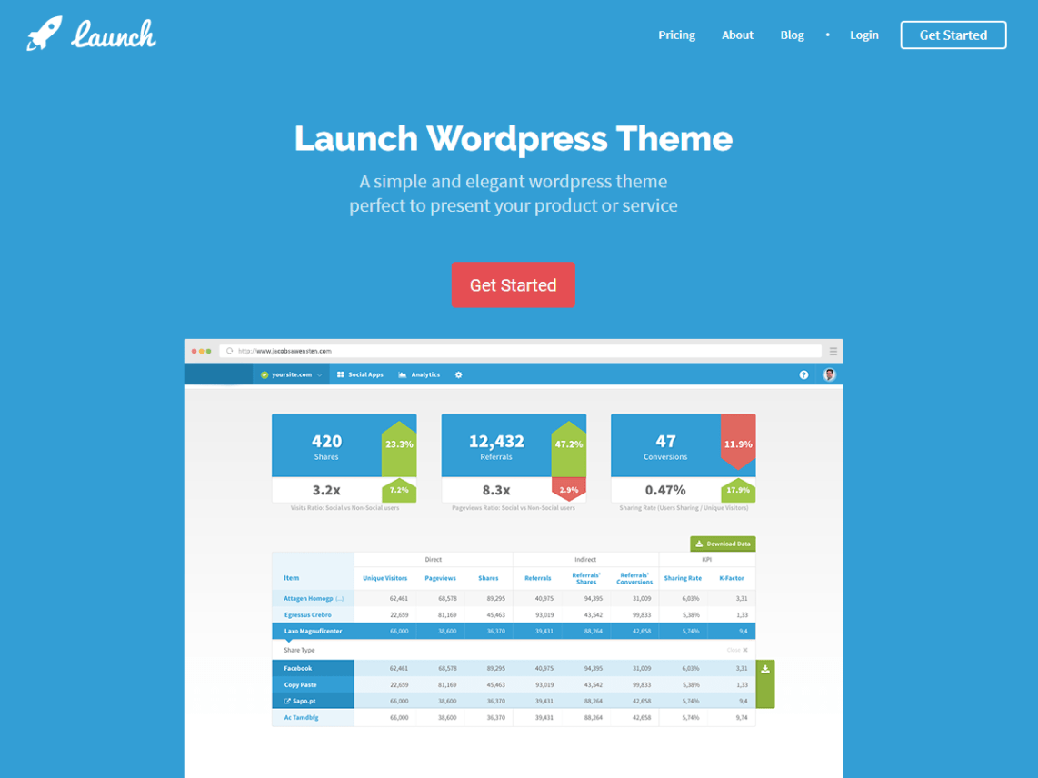 WordPress Theme Launch