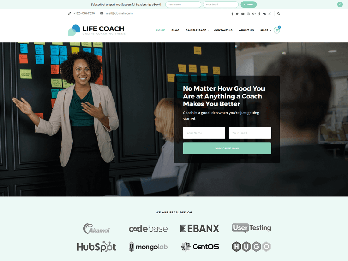 WordPress Theme Life Coach